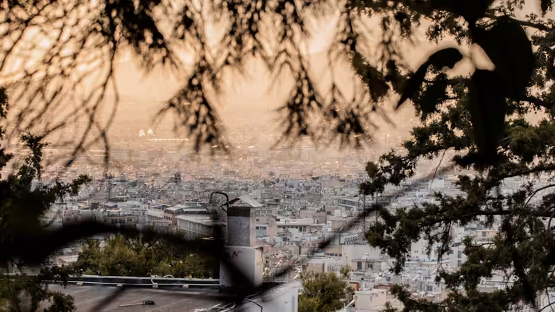 Aydın Köşk Aksam Yemegi Bayan