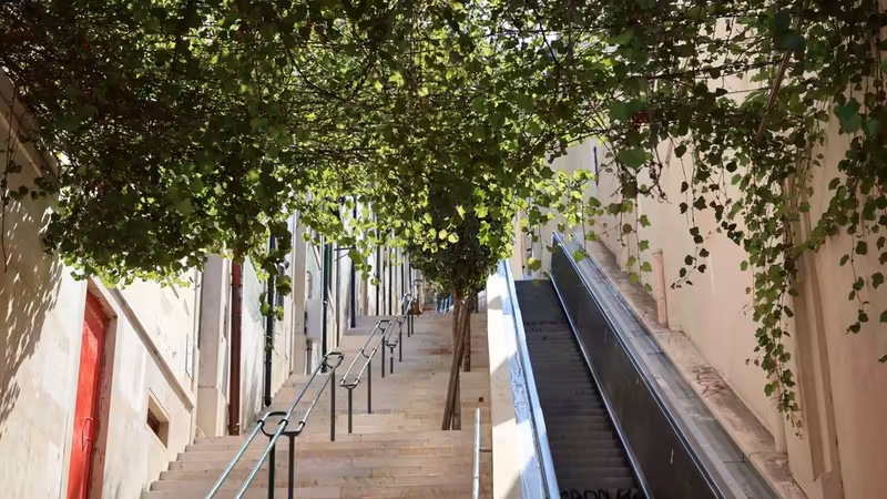 Aydın Kuşadası VIP Eskort Ilanlari