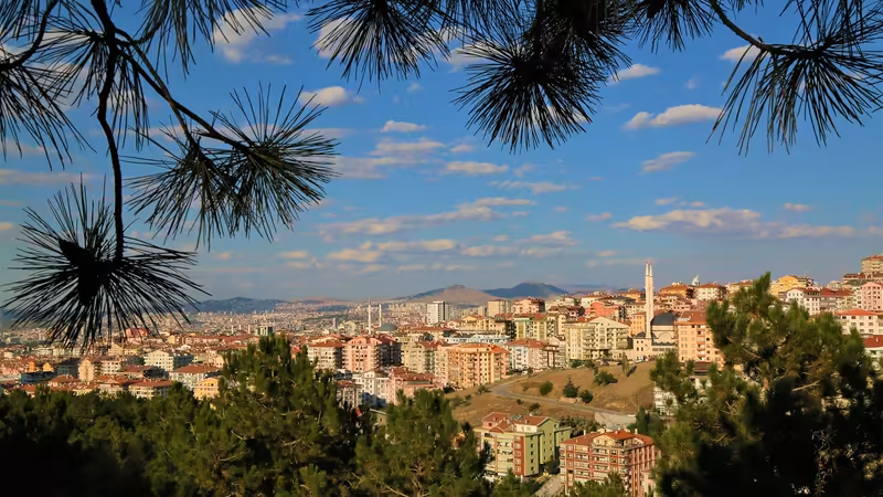 Balıkesir Ayvalık Gecelik Bayan