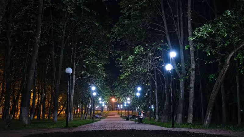 Balıkesir Escort Reklamlari Neden Engellenir