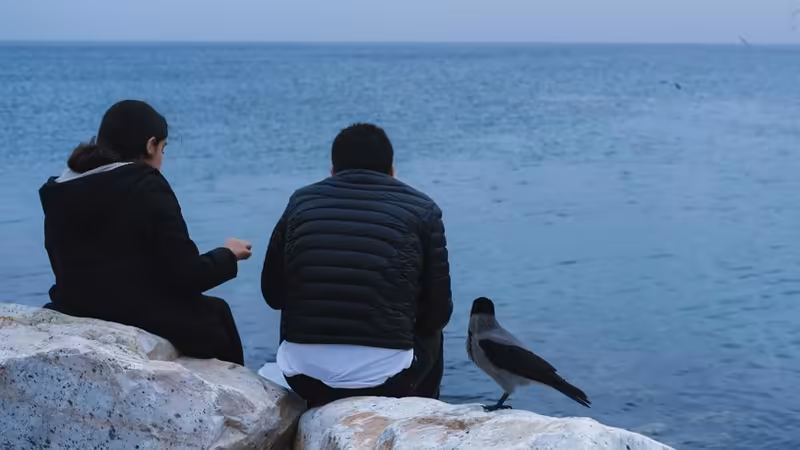 Balıkesir Havran Butce Dostu Escort Cozumleri