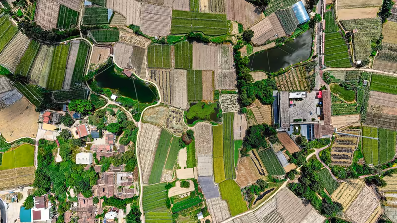 Balıkesir Manyas Escort Ile Otelde Bulusmak Nasil Olur