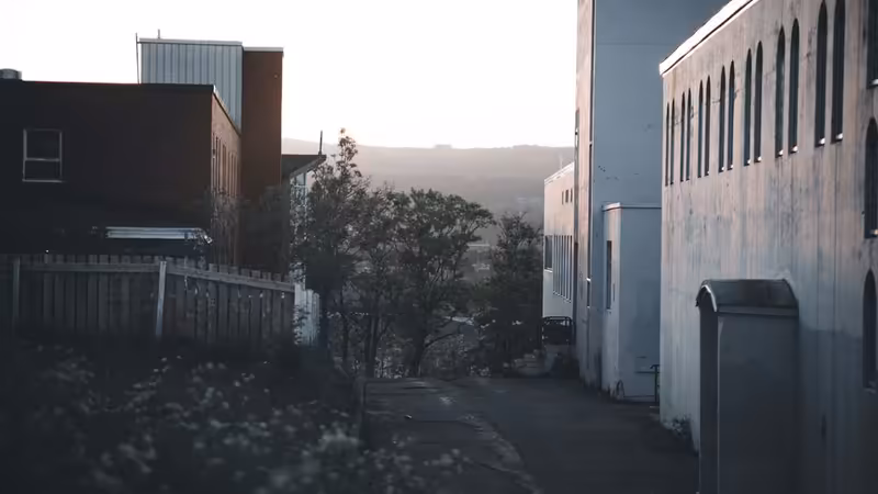 Balıkesir Savaştepe Esmer Eskort