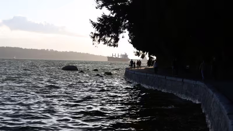 Bingöl Merkez Kizil Sacli Escort