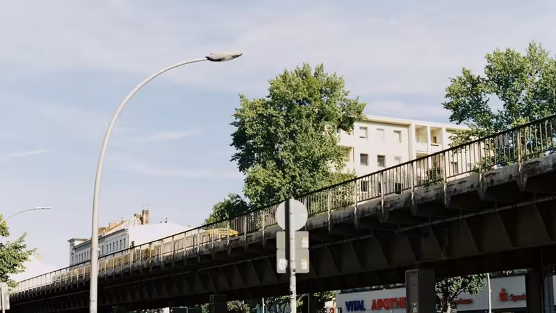 Bingöl Yayladere Bayan Profilleri