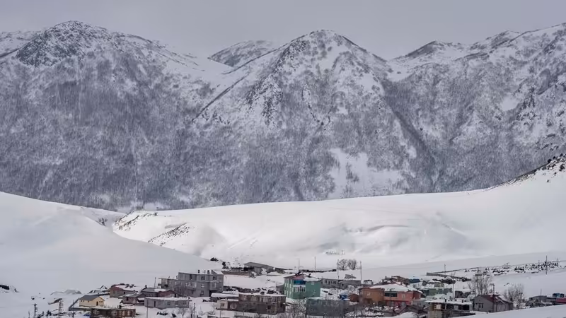 Bitlis Seckin Bayan Profilleri