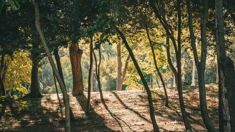 Bolu Kıbrıscık'da Şehir ve Müze Kartları Mantıklı mı? Fiyat Fayda Analizi
