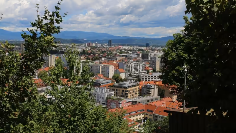 Bolu Mengen Guvenilir Ilanlar