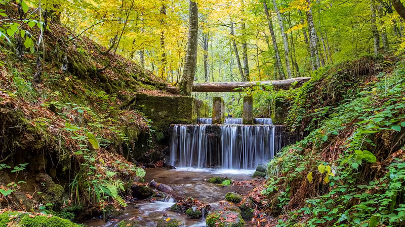 Bolu Merkez Yeni Eskort
