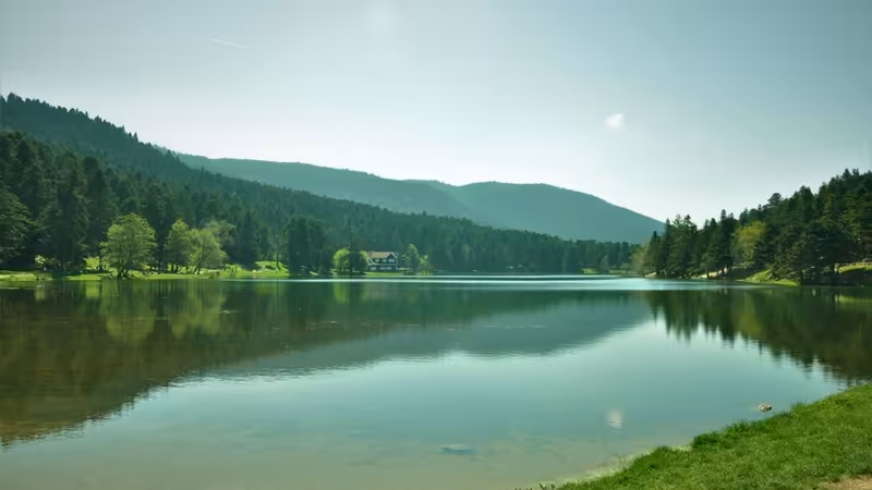 Bolu Seben Otel Bulusmali Escort