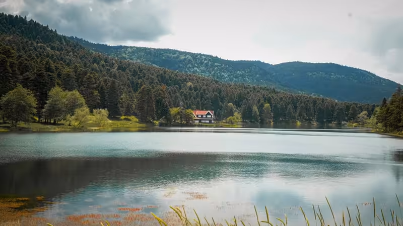 Bolu Yeniçağa Elit Bayan Ilanlari
