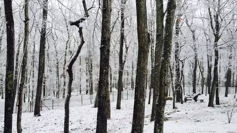 Burdur Yeşilova'da Toplu Taşıma Rehberi ve Ulaşım Kartı Nasıl Alınır
