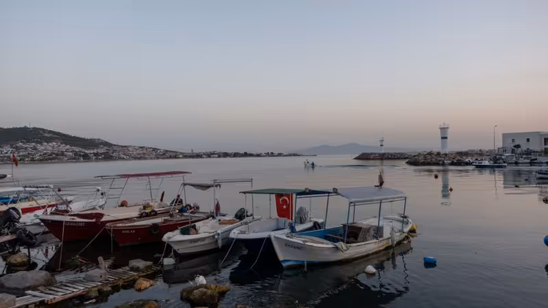 Bursa Harmancık Eskort Ara