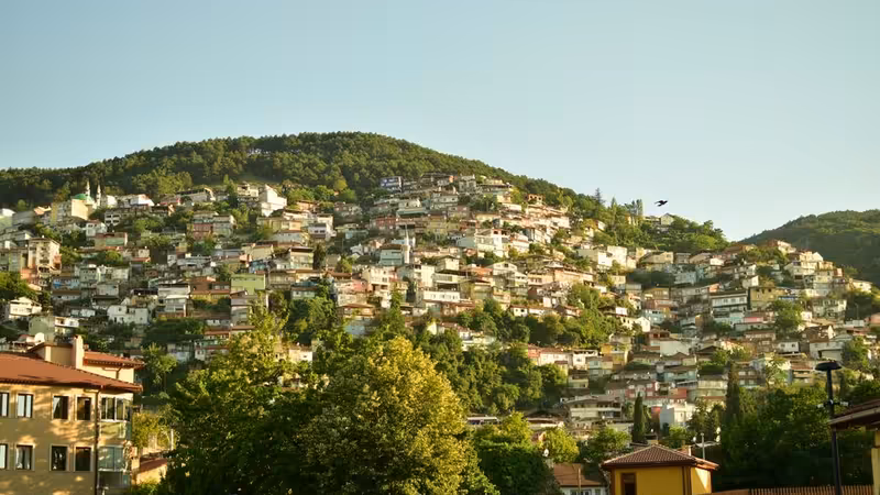 Bursa Kestel Ozel Bayan