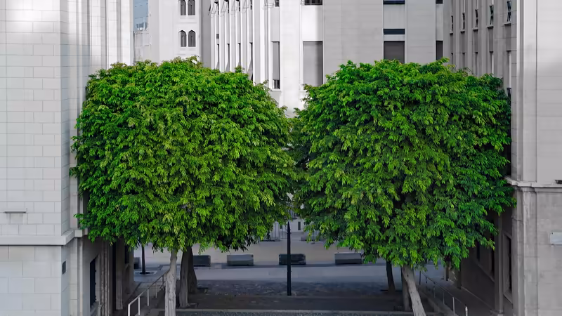 Bursa Orhaneli Gercek Ilanlar