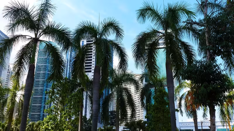 Bursa Yenişehir'da Yılbaşı, Yeni Yıl ve Resmi Tatil Kutlamaları Nasıl Yaşanır