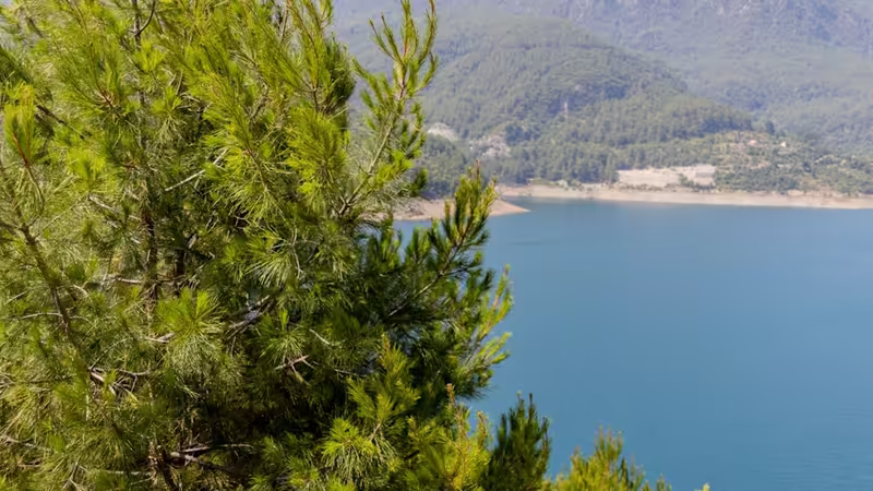 Bursa Yıldırım'da Turistik Üstü Açık Otobüs Turları (Hop-on Hop-off) Rotaları