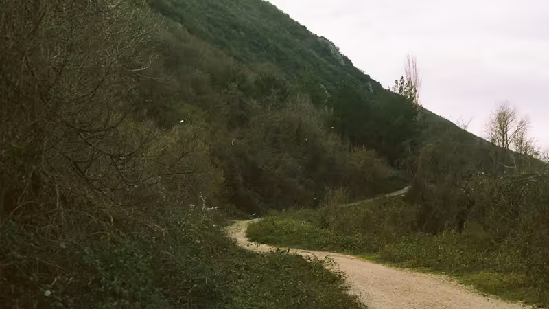 Çanakkale Ayvacık'da Asırlık Kitapçılar, Sahaflar ve Antika Pazarları
