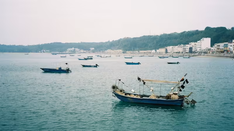 Çanakkale Bayramiç Gece Elit Escort