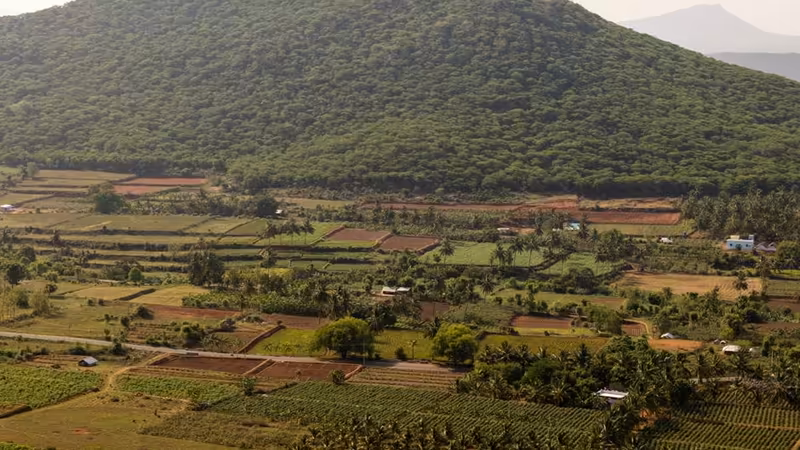 Çanakkale Biga Gunluk Kiralik Bolgeler