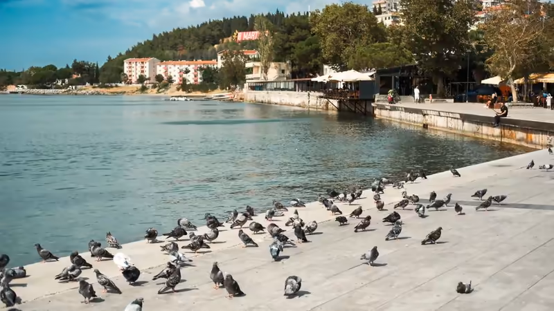 Çanakkale Ezine Bayan Listesi
