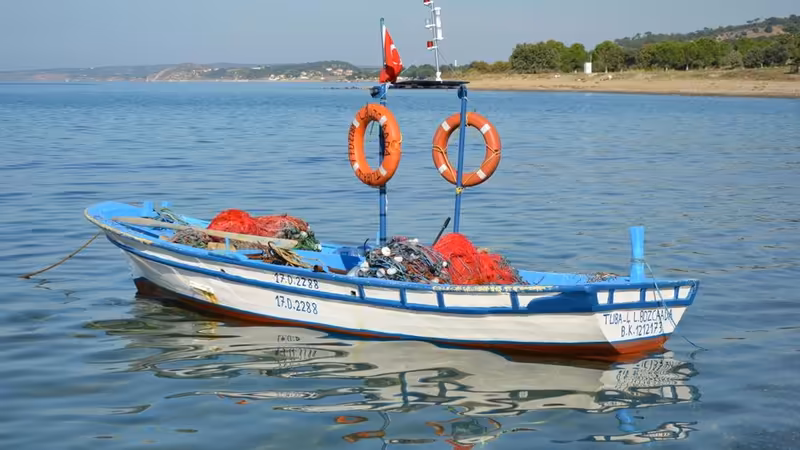 Çanakkale Gelibolu Escort Arama Kilavuzu