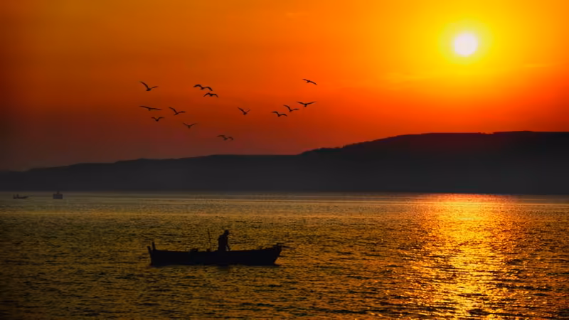 Çanakkale Gelibolu Escort Listesi