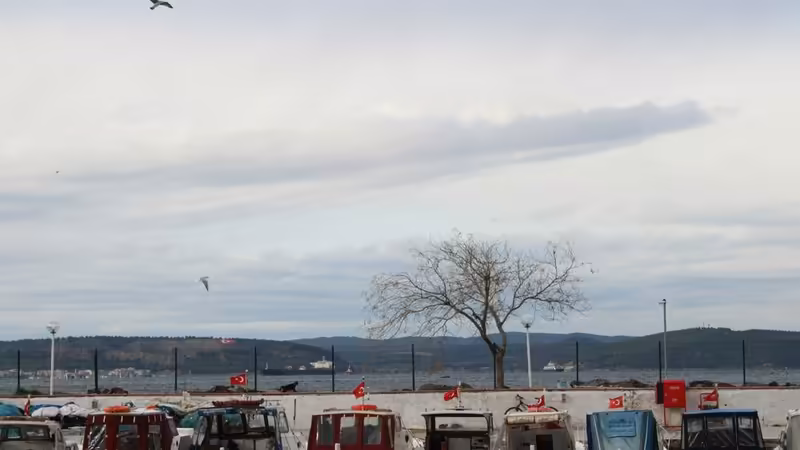 Çanakkale Lapseki Gecelik Otele Gelen Escort