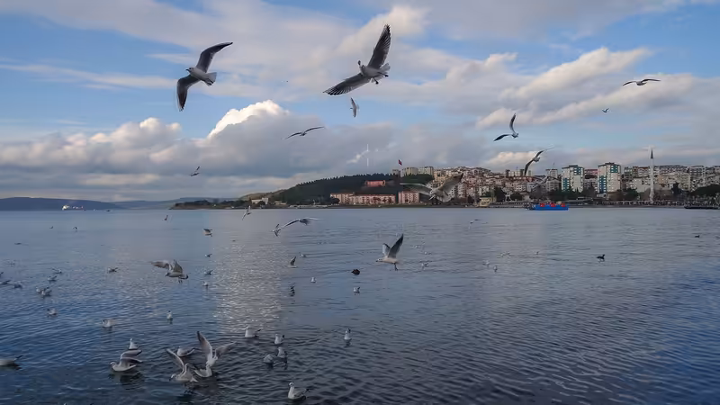 Çanakkale Yenice Aksam Yemegi Bolgeleri