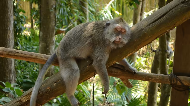 Çankırı Kurşunlu Is Seyahati Bayan