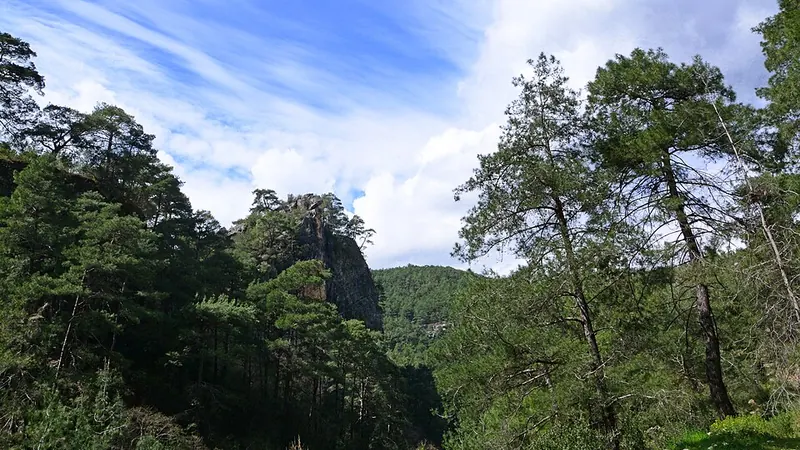 Çatalzeytin'da İş Seyahati Yapanlar İçin Şehir Rehberi - Kastamonu