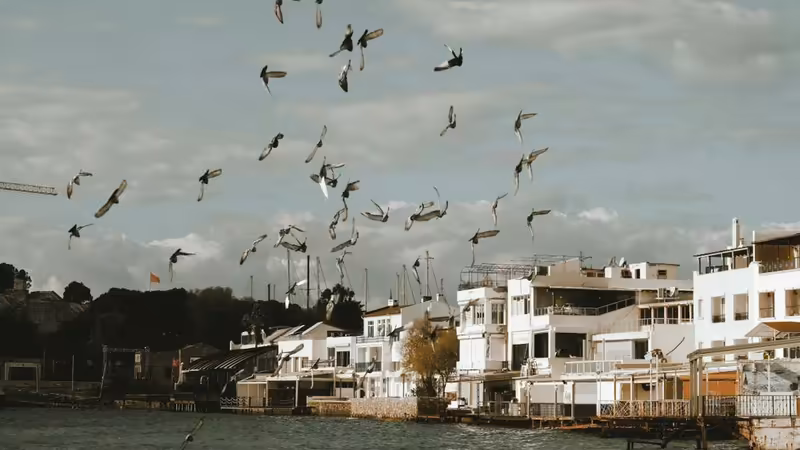 Çorum Kargı Eve Gelen Eskort