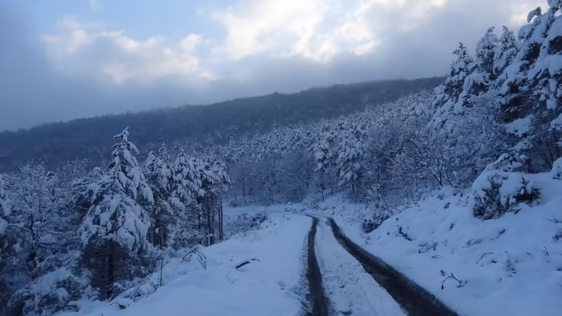 Çorum Merkez'daki Dev Şirket Merkezleri ve Plazalar Bölgesi