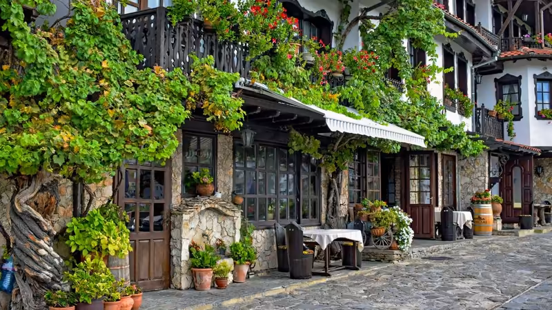 Çorum Bayan Bul