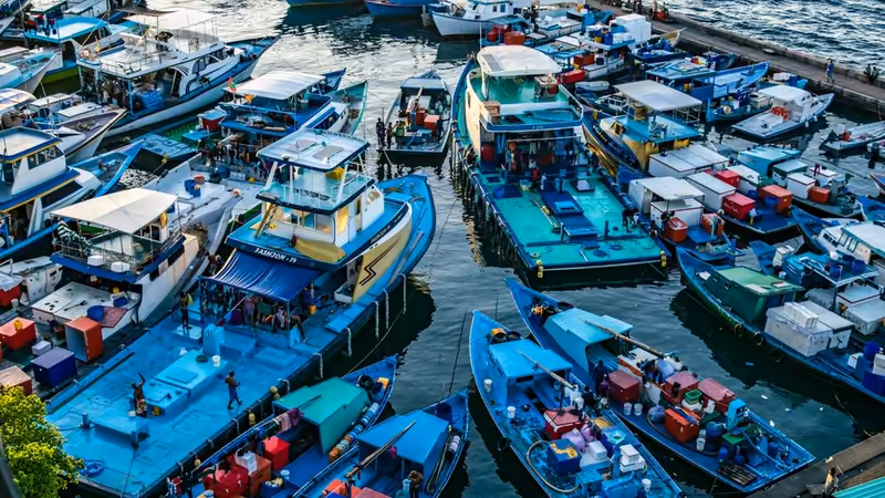 Denizli Kale Escortu Yemege Davet Edebilir Miyim