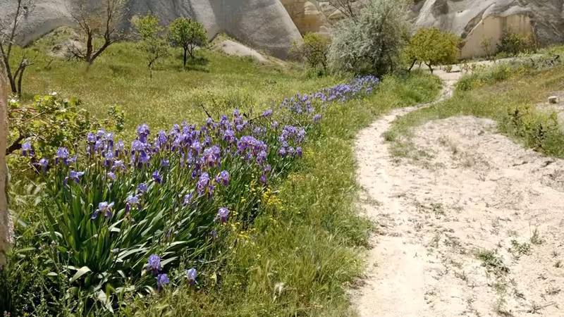 Denizli Merkezefendi'da Asırlık Kitapçılar, Sahaflar ve Antika Pazarları