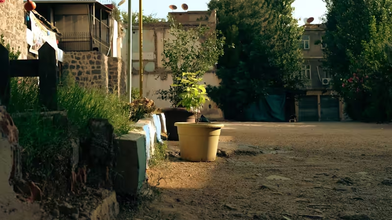 Diyarbakır Bağlar Ince Yapili Escort Bayanlar