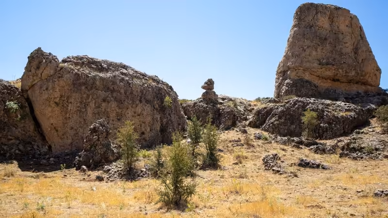 Diyarbakır Bağlar Bayan Ara