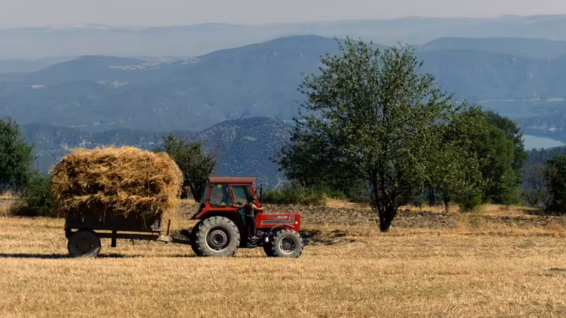 Diyarbakır Bağlar ve Çevresindeki Şarap ve Bira Tadım Rotaları