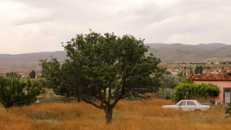 Diyarbakır Çınar Aktif Bayan