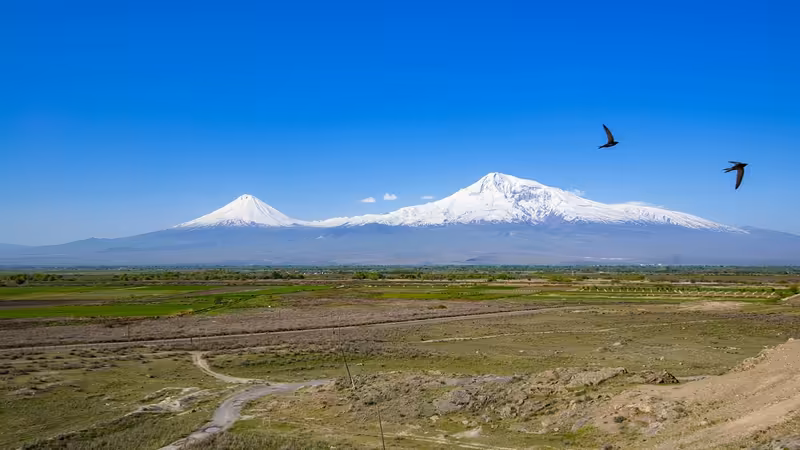 Diyarbakır Yenişehir'da Aylık Ortalama Yaşam Maliyeti (Öğrenci ve Çalışan)