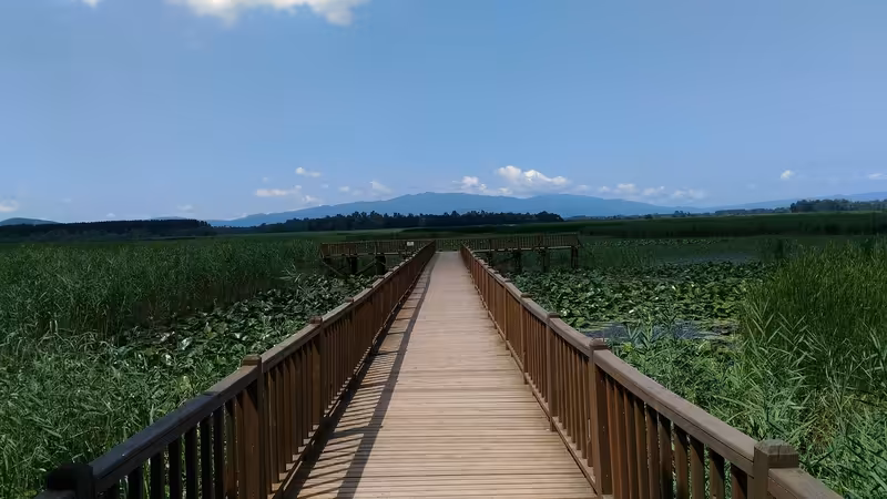 Düzce Akçakoca Hafta Ici Musait Escort