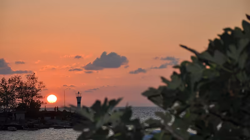 Düzce Akçakoca Social Event Eslik Escort