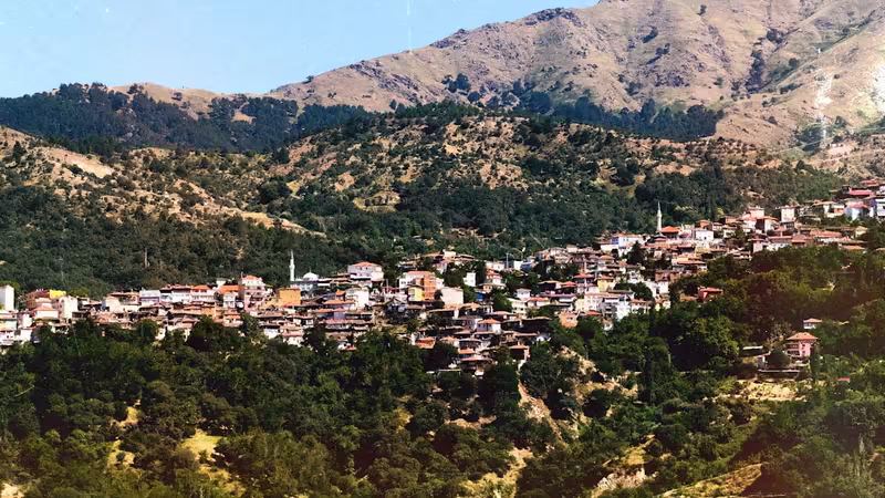 Düzce Çilimli Is Seyahati Bayan