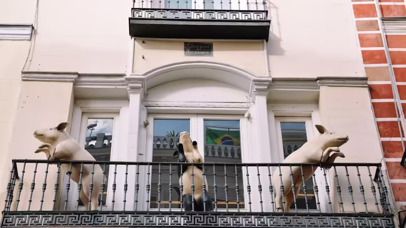 Düzce Ozel Escort