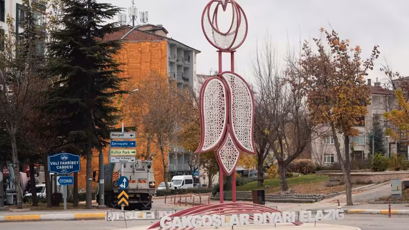 Elazığ Escort Deneyimi Nasil Gecer