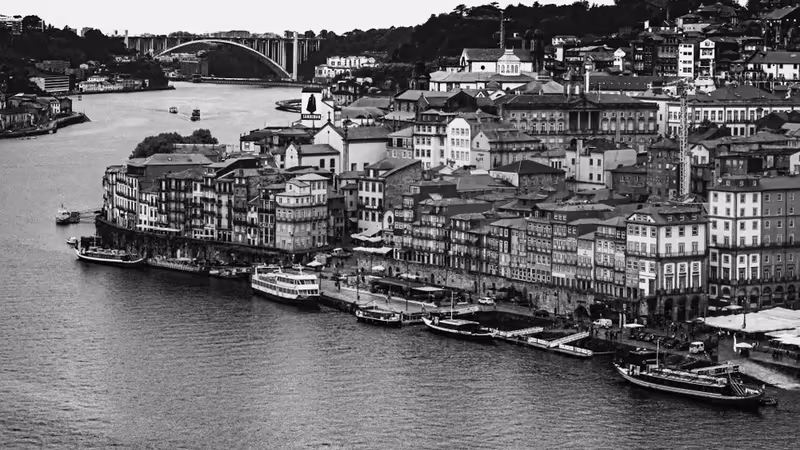 Elazığ Palu WhatsApp Escort