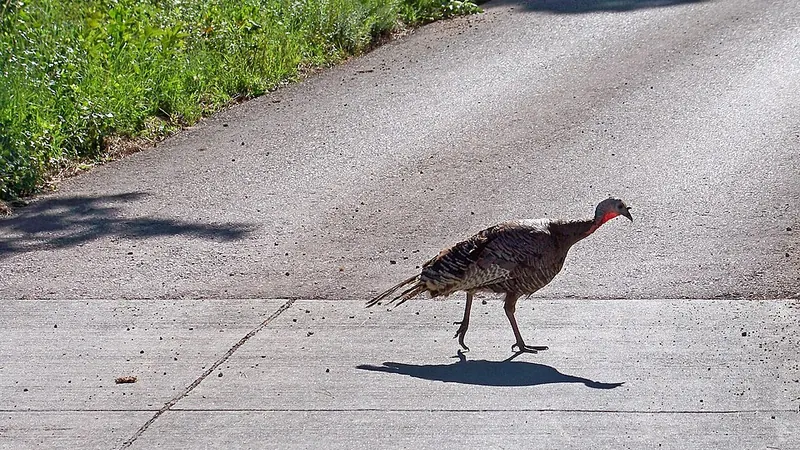 Erenler'da Büyük Şehir Gece Hayatı Trendleri 2026 - Sakarya