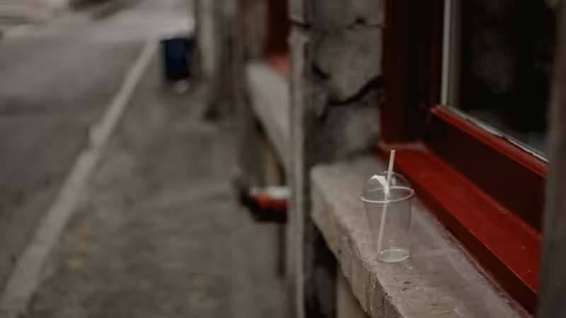 Erzincan Kemah Elit Bayan Ilanlari