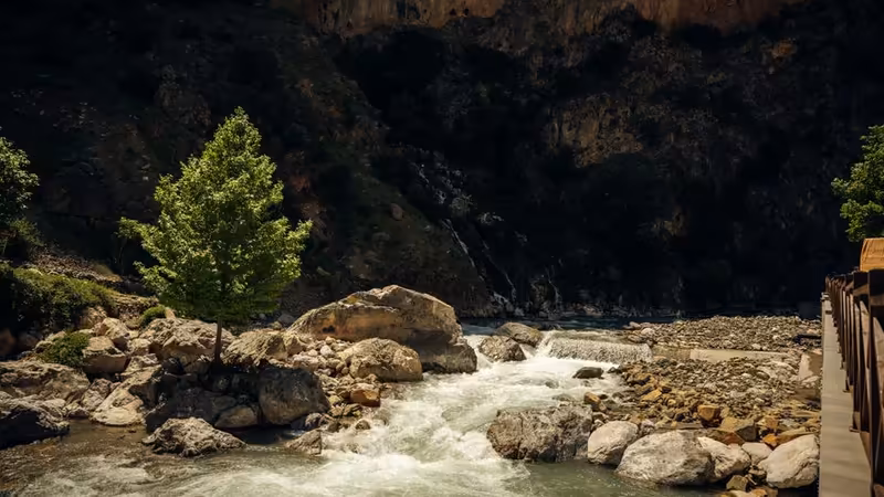 Erzincan Kemaliye Gunluk Escort Bayanlar